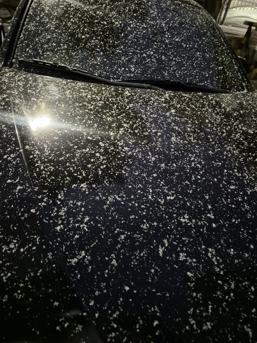 어어 대구에 눈오는데
이정도면 폭설임