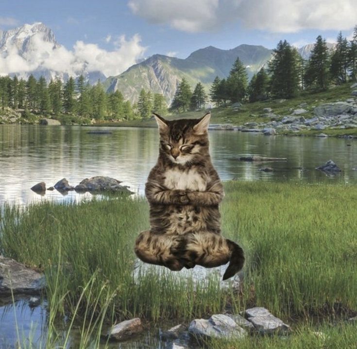 tortadefrango67's tweet image. a hmmmmmmmm... 
a hmmmmmmmm...