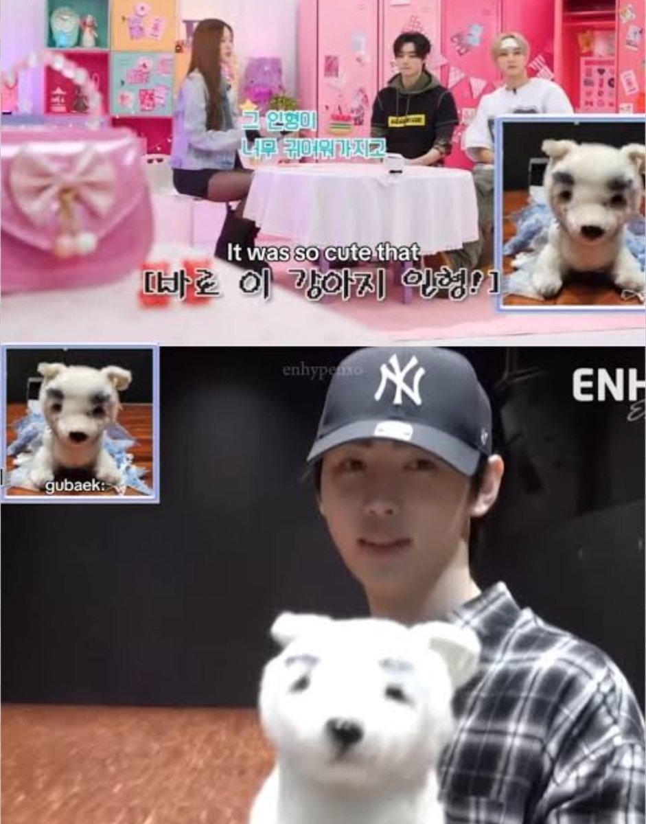 suzyunah's tweet image. eu amo lembrar que o sunghoon tem guarda compartilhada desse cachorro com a minju, entao as meninas do illit vivem pegando ele e colocando uma saia