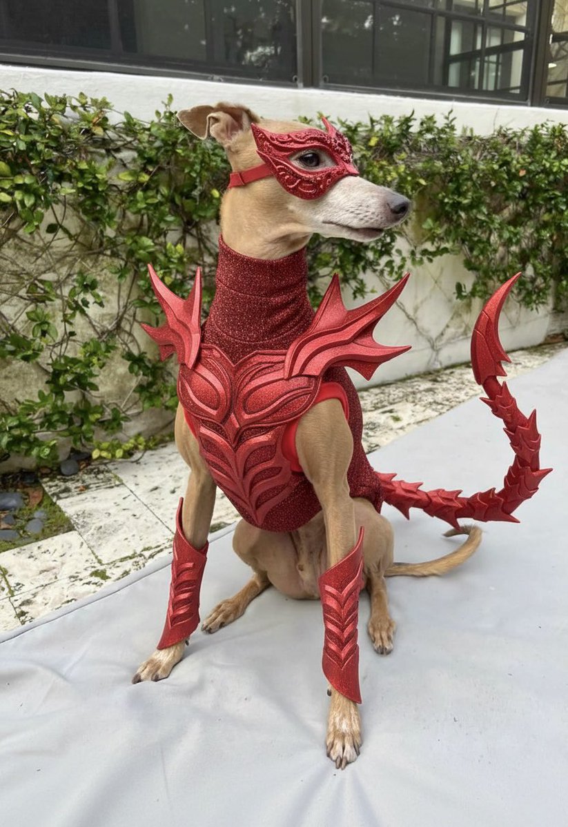 updatecharts's tweet image. "nunca vi cachorro servir cunt"

eu: