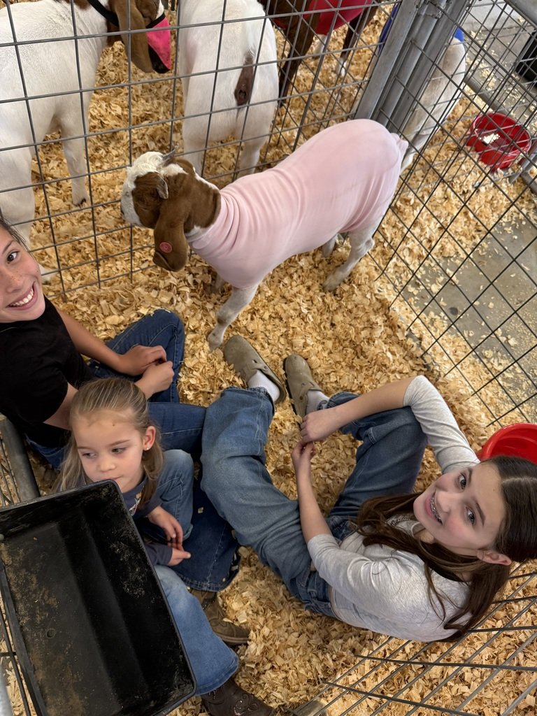 Luling ISD tweet media