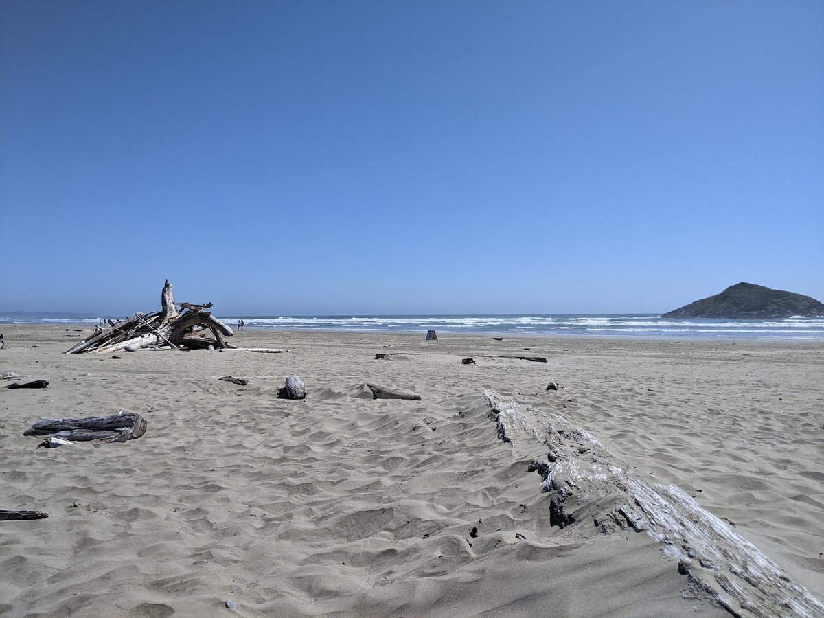 compass10n's tweet photo. reading to the lighthouse for the first time in tofino last summer was so peak and i didn't even know it https://t.co/AtqZoSjVjB