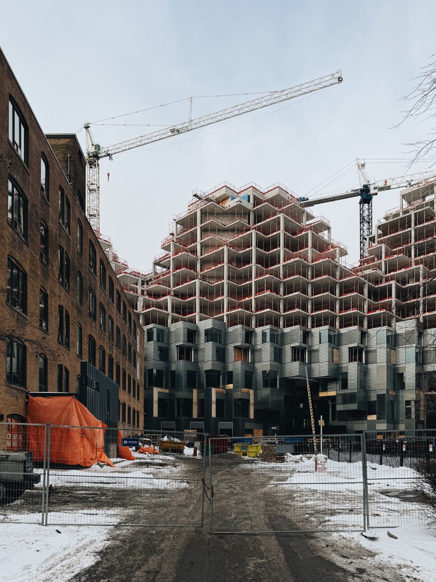 Brandon Donnelly tweet media