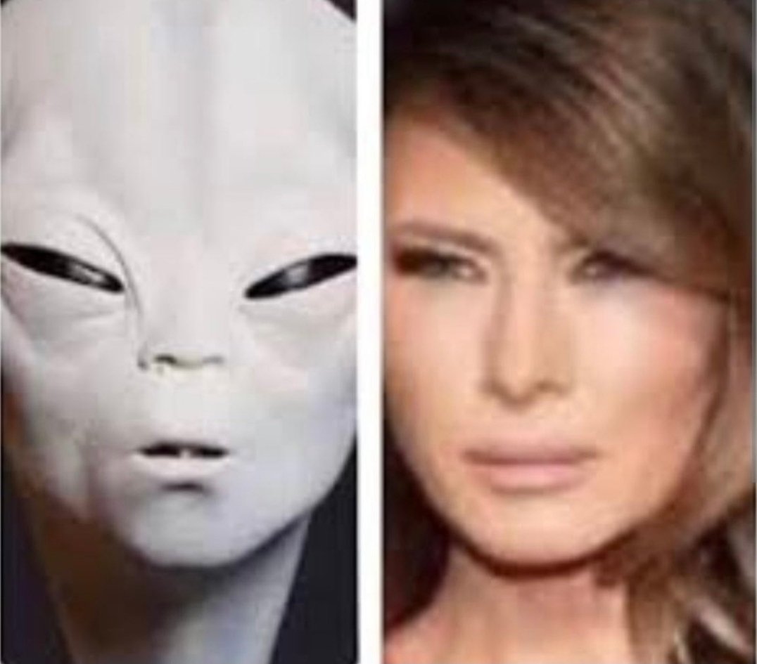 Liam Nissan™ tweet media