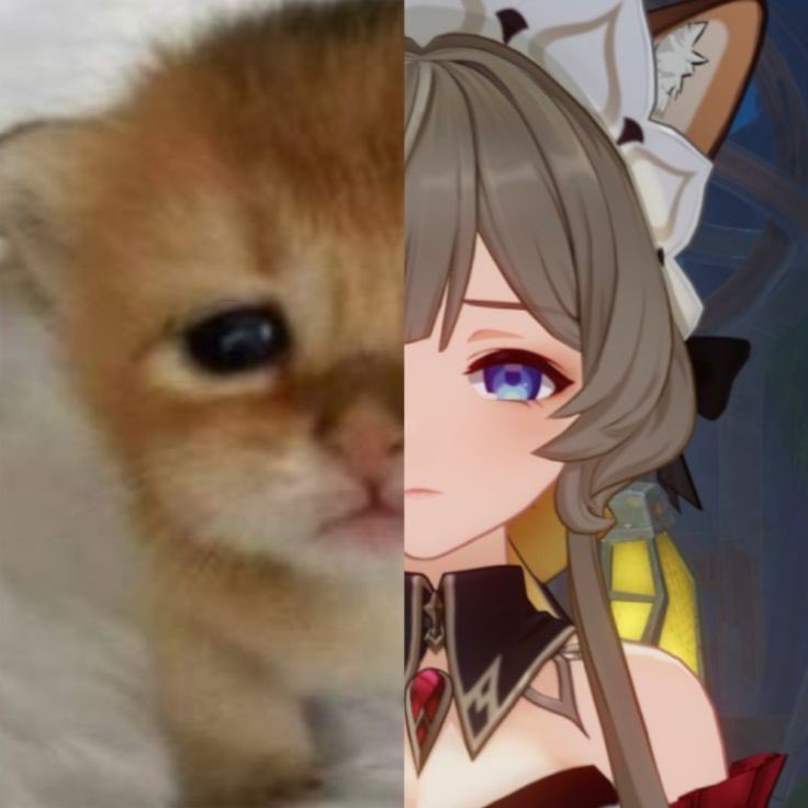 Ducky 🇵🇸 tweet media