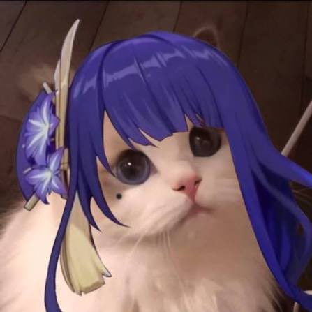 Ducky 🇵🇸 tweet media