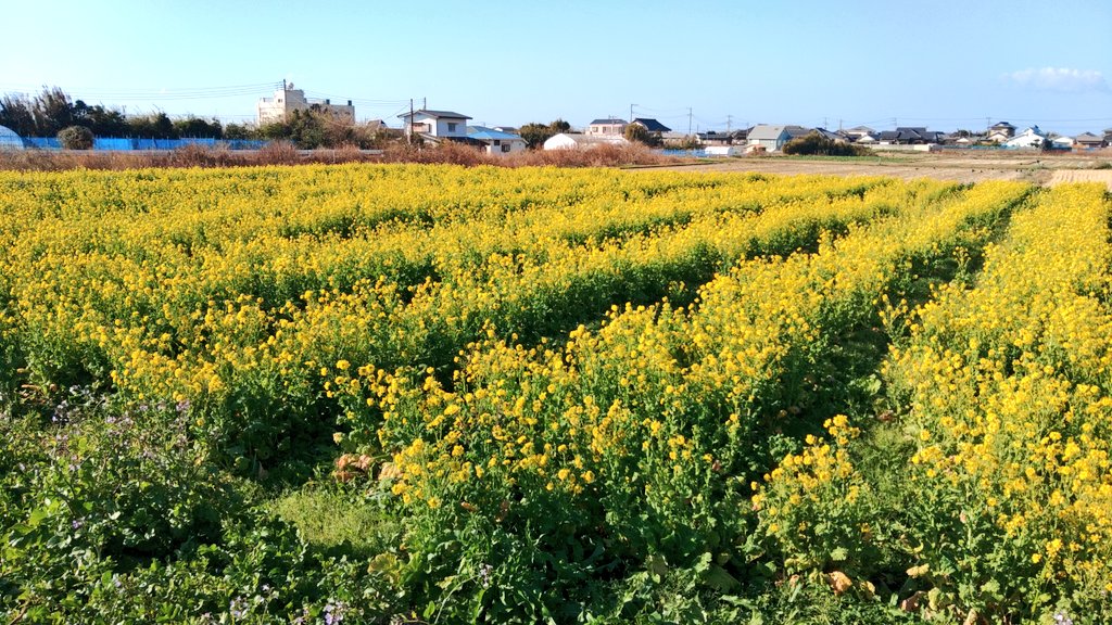 はなお Otrain Adidas Sneaker Release Adidas Zx 850 Bogota ADIDAS X