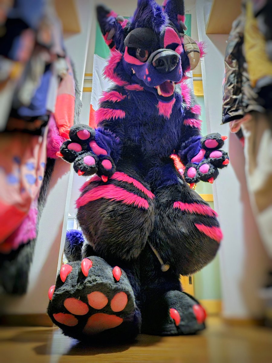 🎶No eches raíces en un sitio, muévete
Pues no eres un árbol, para eso tienes dos pies🐾
El hombre más sabio es el que sabe que su hogar es tan grande como pueda imaginar!🎶
#FursuitFriday #paws #morefurless #fursuit #furry