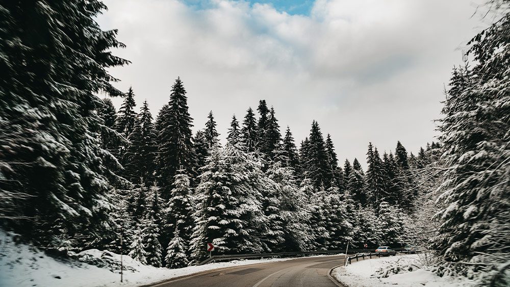 Nobody Trashes Tennessee tweet media