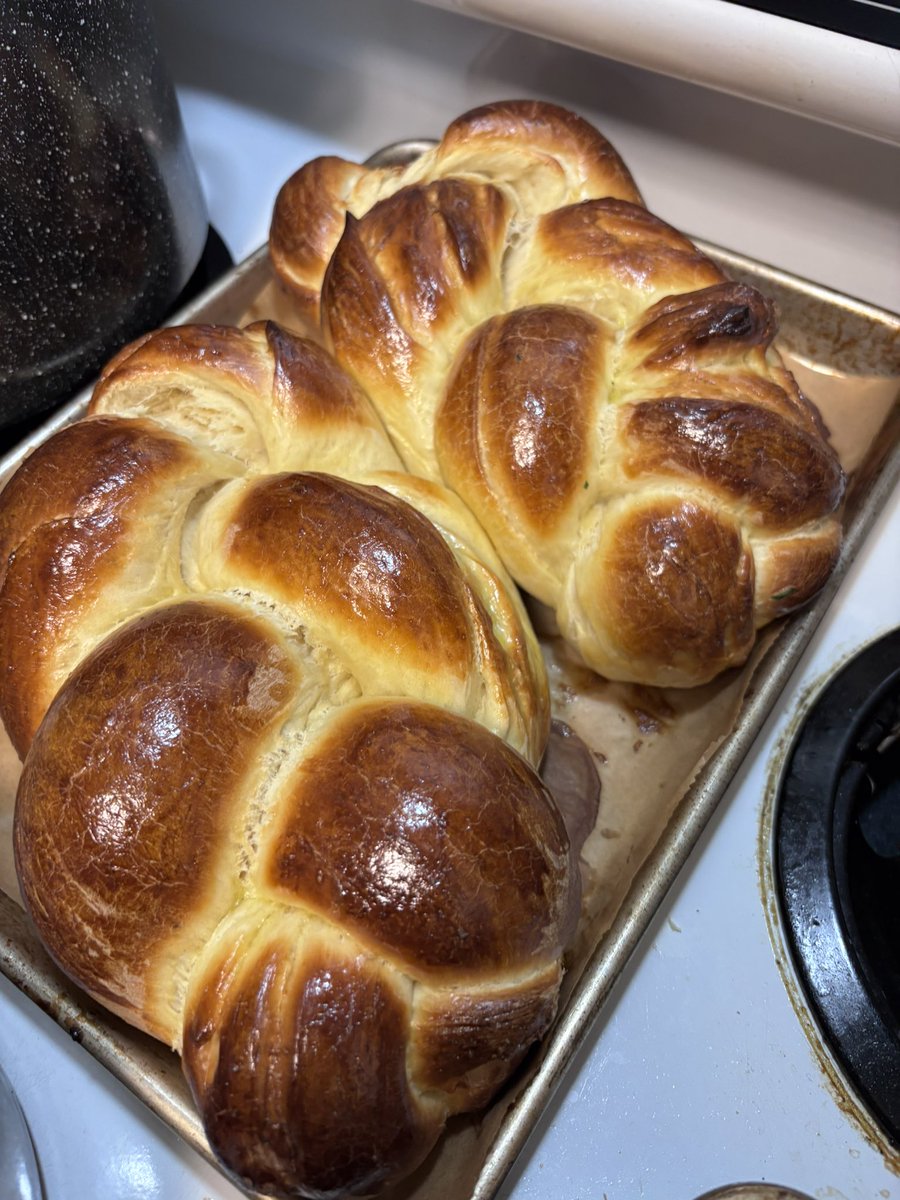 Manny עמנואל עזרא Houle tweet media