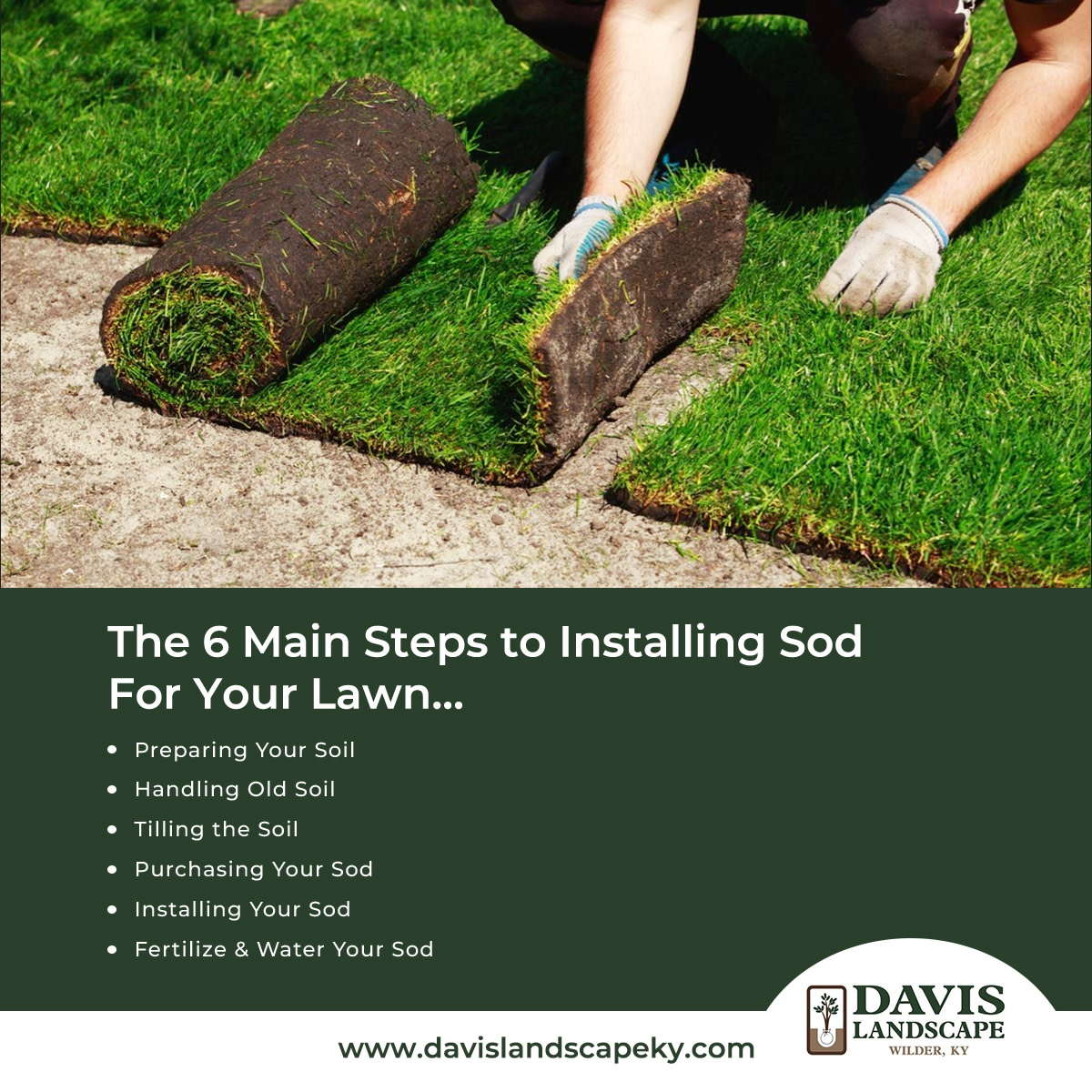 LandscapeDavis's tweet image. The 6 Main Steps to Installing Sod For Your Lawn…
LEARN MORE... davislandscapeky.com/sod-installati…

#landscaping #hardscapes #walkways #pavers #concrete #drainage #homeimprovement #homeandgarden #patios #cincinnati #nky #northernkentucky #sod #sodinstallation