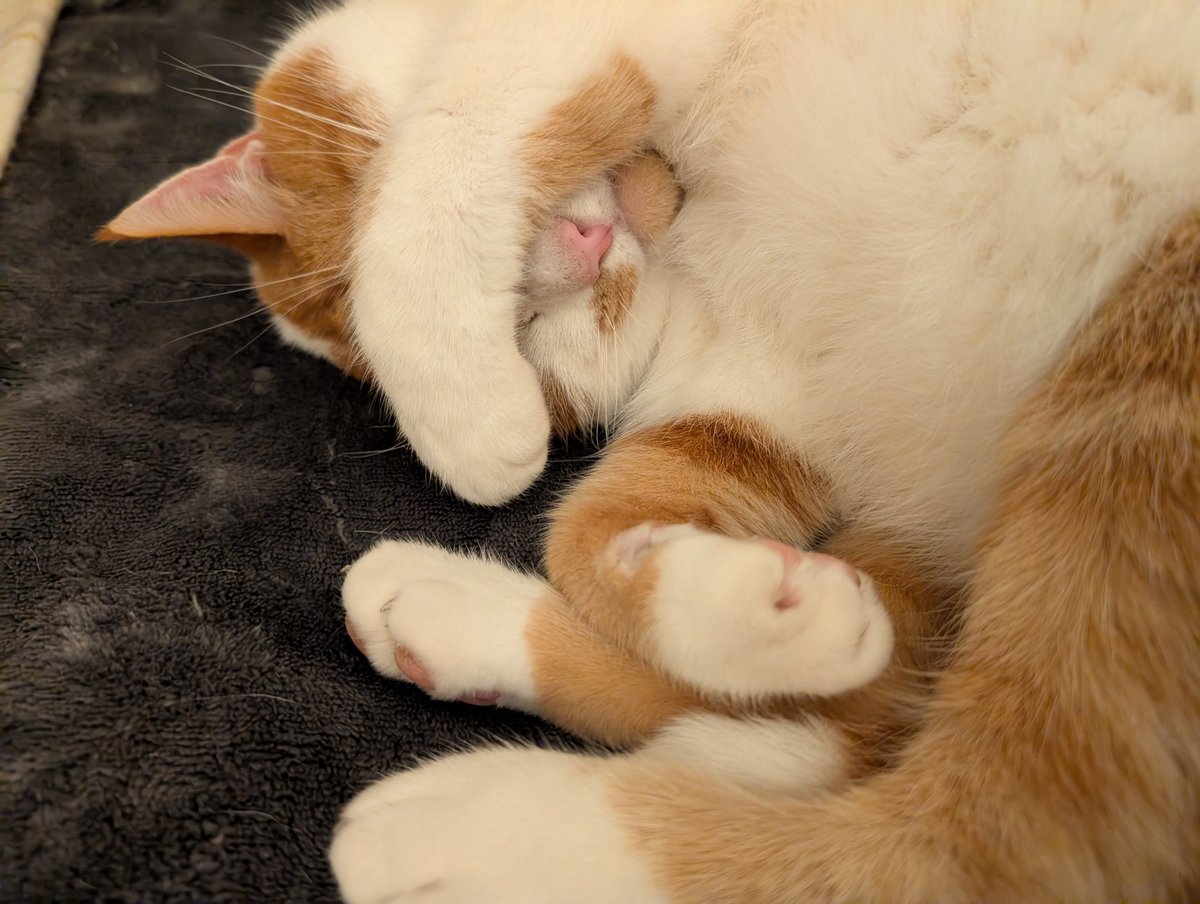 Helen Sinfield tweet media