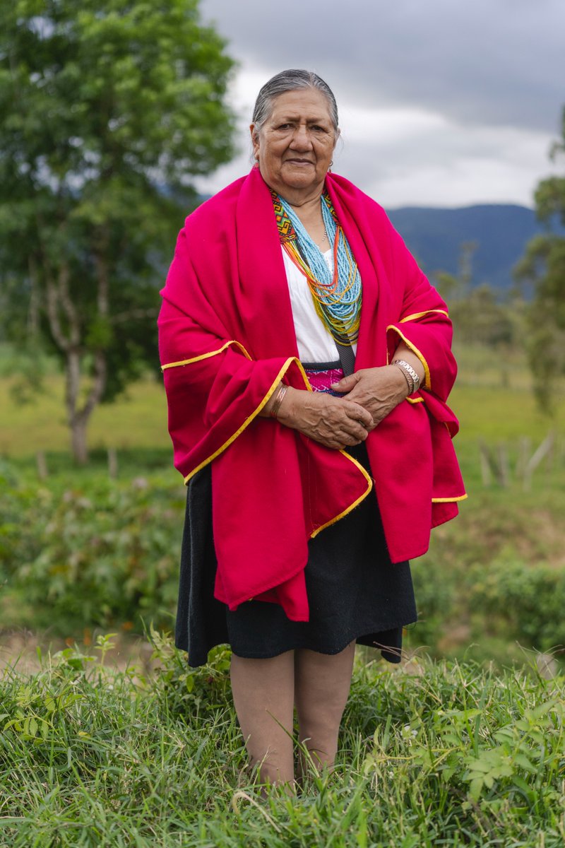 Amazon Conservation Team tweet media