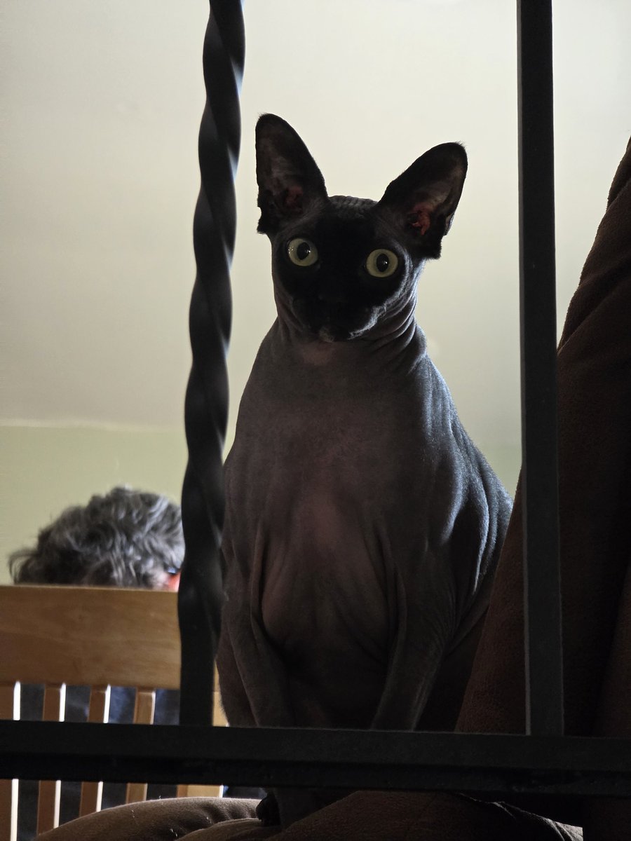 without_blue's tweet image. 