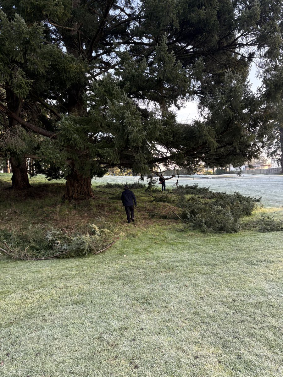 _lehman01's tweet photo. The course may be closed but projects continue at lighting speed; 
10T catch basins + rock pit installed 
15 path catch basin &amp; outlet 
17T  catch basin, perf drainage pipe, &amp; rock pit 
2, 6, 14, 15, &amp; 16 cart path resurfacing 
13/14 Fir tree cluster canopy lift 
@RoyalColwoodGC https://t.co/8pGSWOtVcm