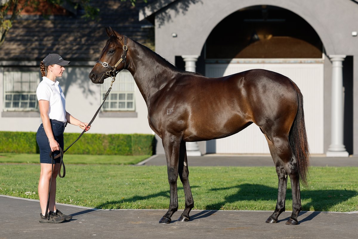 Elsdon Park tweet media