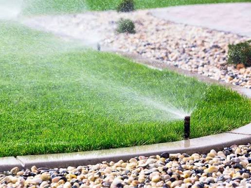 Francisco Sanchez tweet media