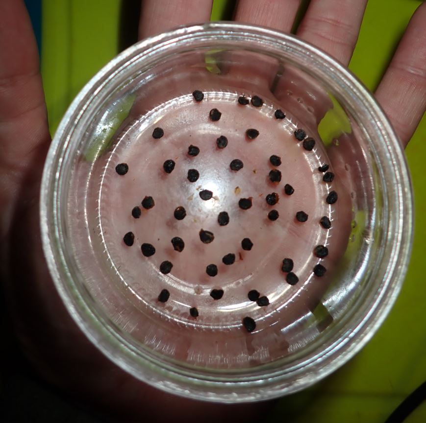 Chris Fowler tweet media