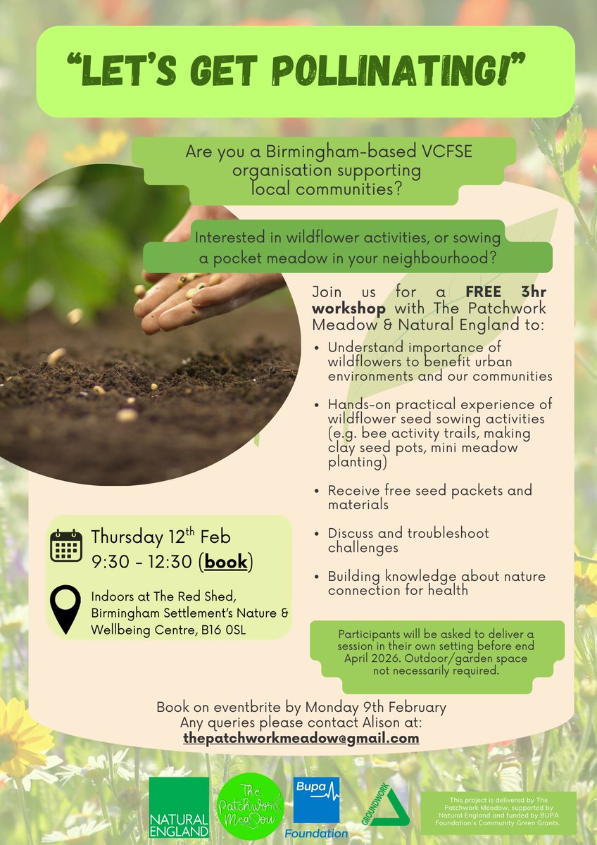 The Patchwork Meadow tweet media