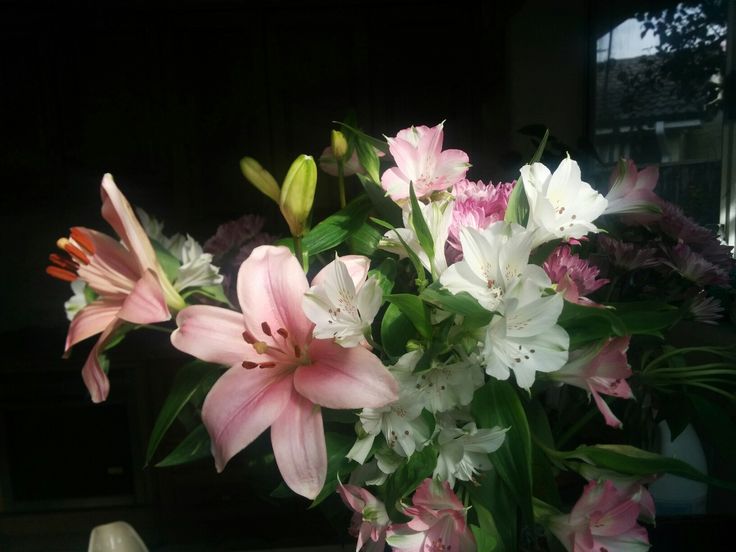 chaarpaai's tweet image. 