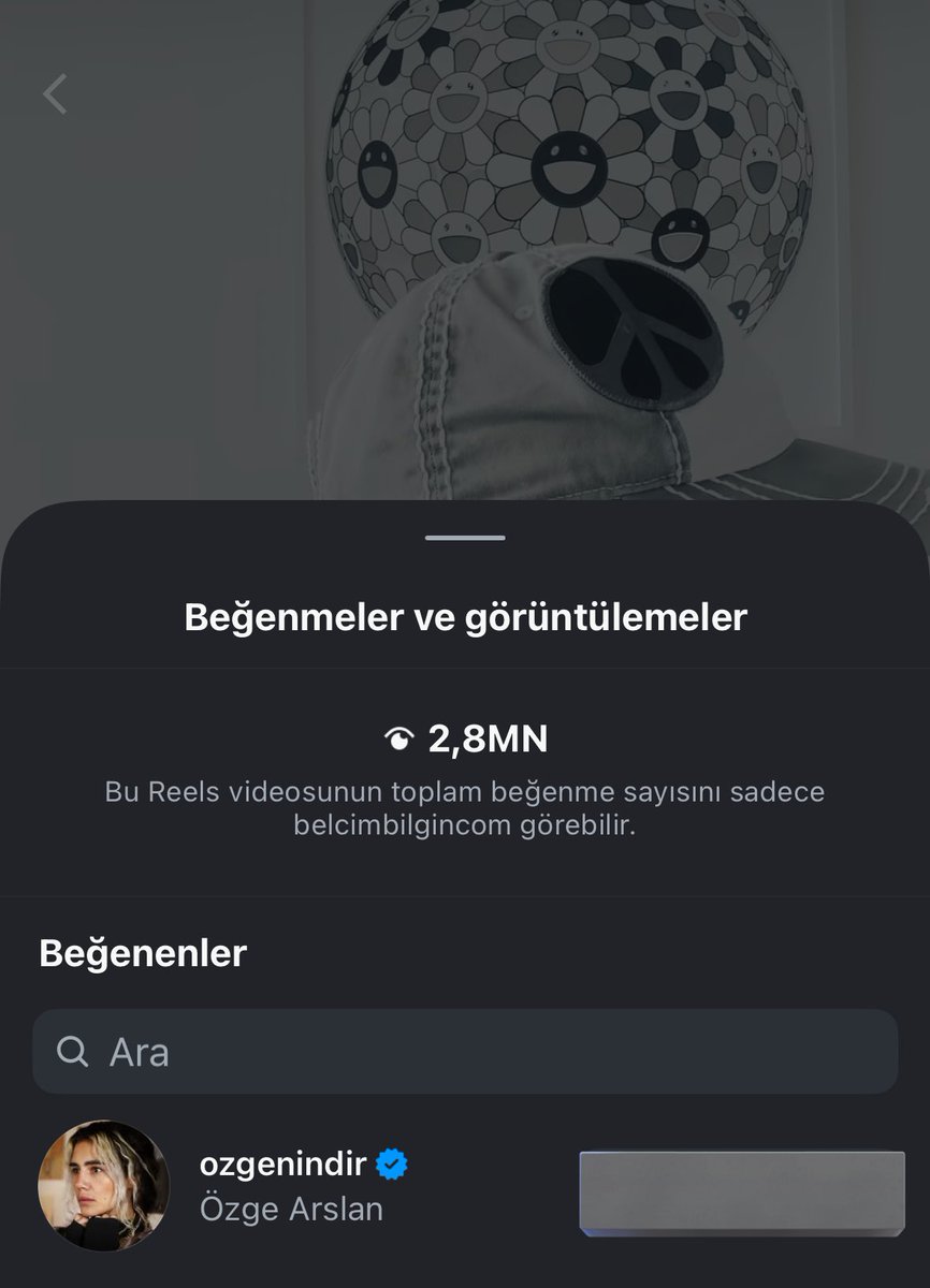 Sedef Fil tweet media