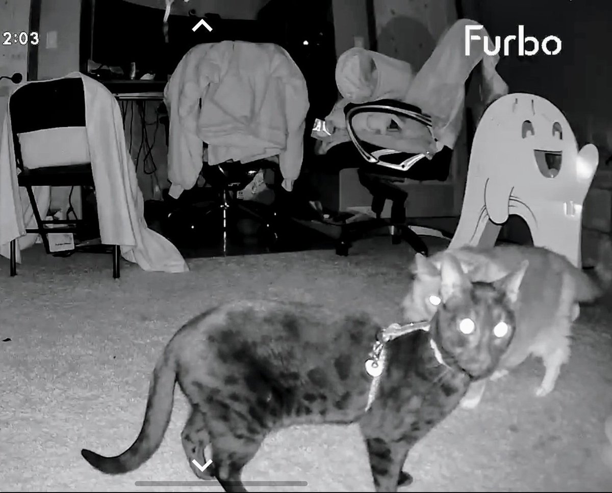 I just realized "cherry" action figures/collectible cards doesn't mean they be fresh, like produce, it's cuz they are virgins. 

I wonder if Cherry Popping Daddies band members are bad at collecting things w/o opening them? 

Damnit Dave, not again! We talked about this, man!