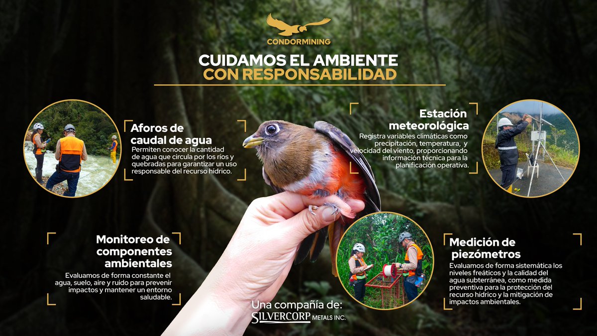 condormining's tweet image. 🌱Comprometidos con una #gestiónambiental responsable.
En #Condormining realizamos monitoreos de aire, agua, flora y fauna, aforos de caudal y mediciones piezométricas, asegurando un control ambiental riguroso en cada etapa del proyecto.

#ConstruyendoOportunidades #AMBIENTE2026