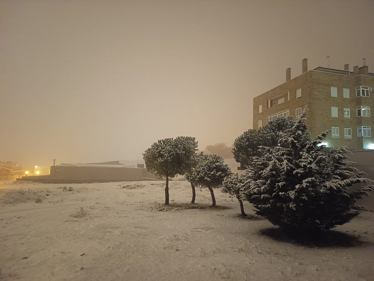 MeteoÁvila tweet media