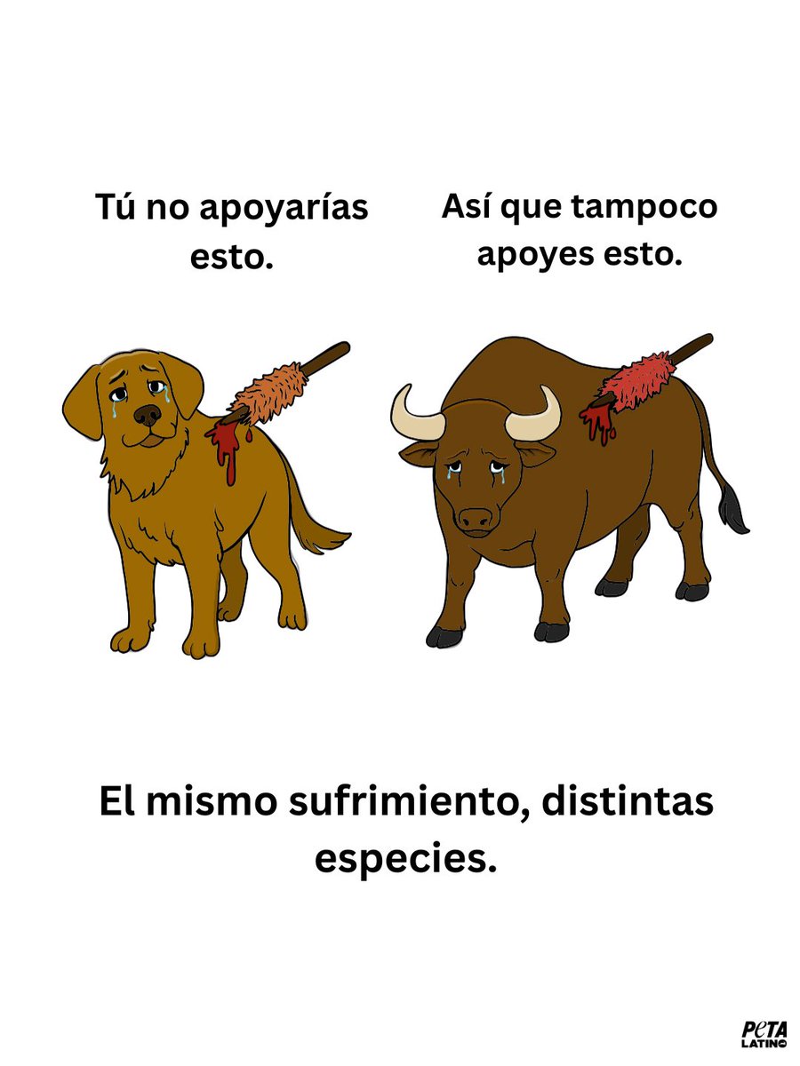 Guadalajara está a punto de vivir otro fin de semana marcado por la crueldad. 💔🐂
@VerónicaDelgadillo, permitir corridas de toros significa apoyar la tortura y muerte de animales por entretenimiento. Eso no refleja a una ciudad compasiva ni empática.

❗Actua hoy y exige que