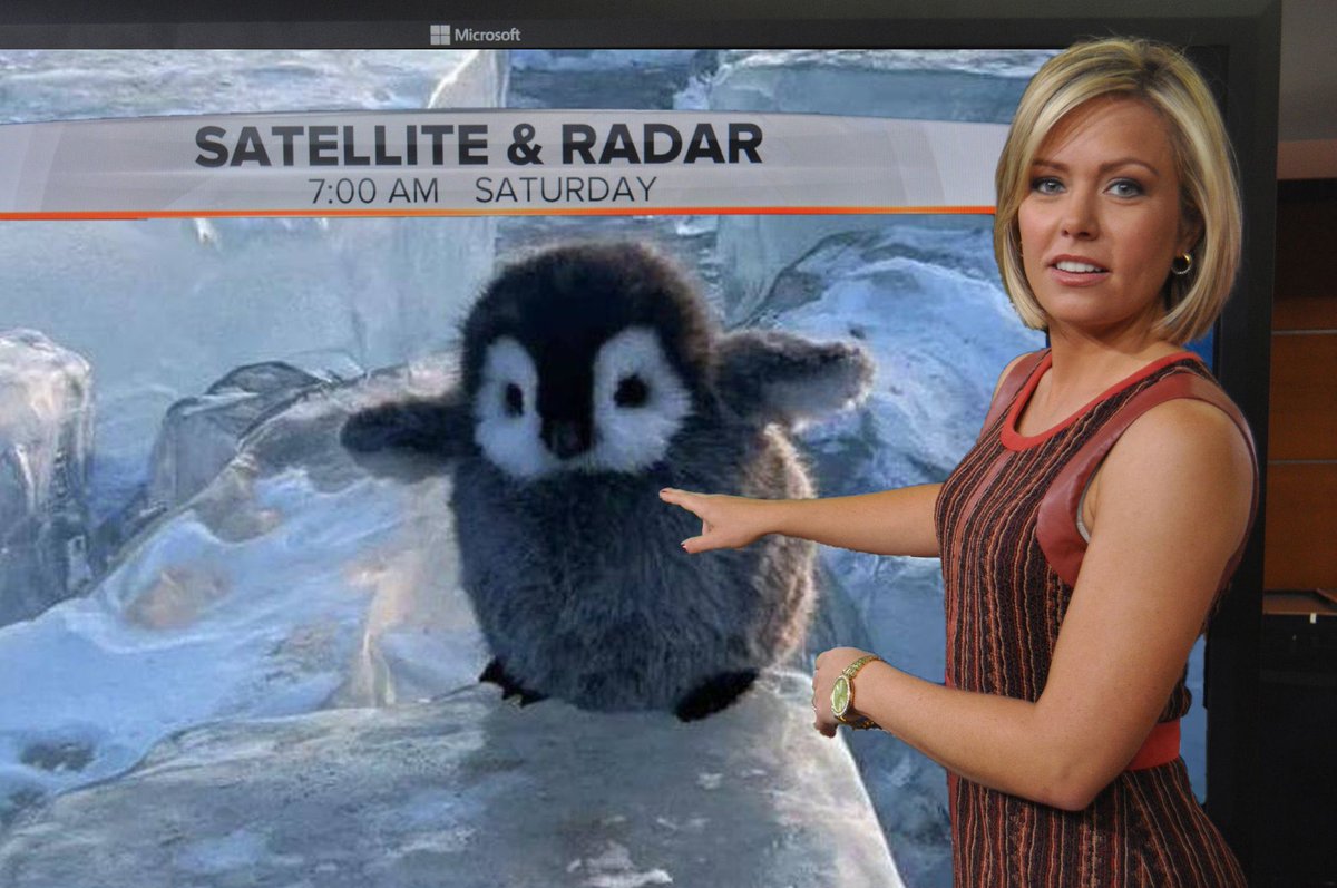 the penguin will save me