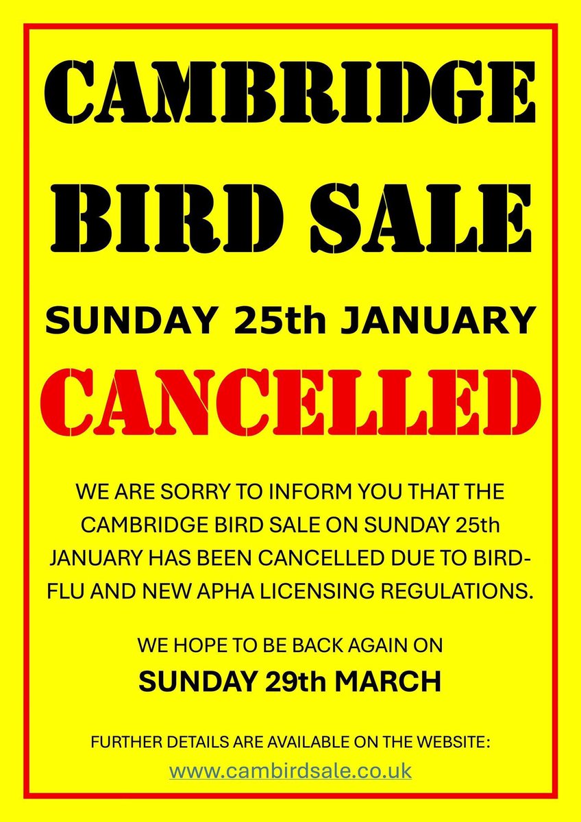 cambirdsale's tweet photo. https://t.co/AB8bTAtQr8