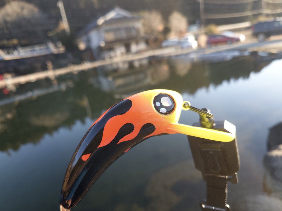 Simö-King🦎(しもきん)🎣 (@tomo5150maru) / Posts / X