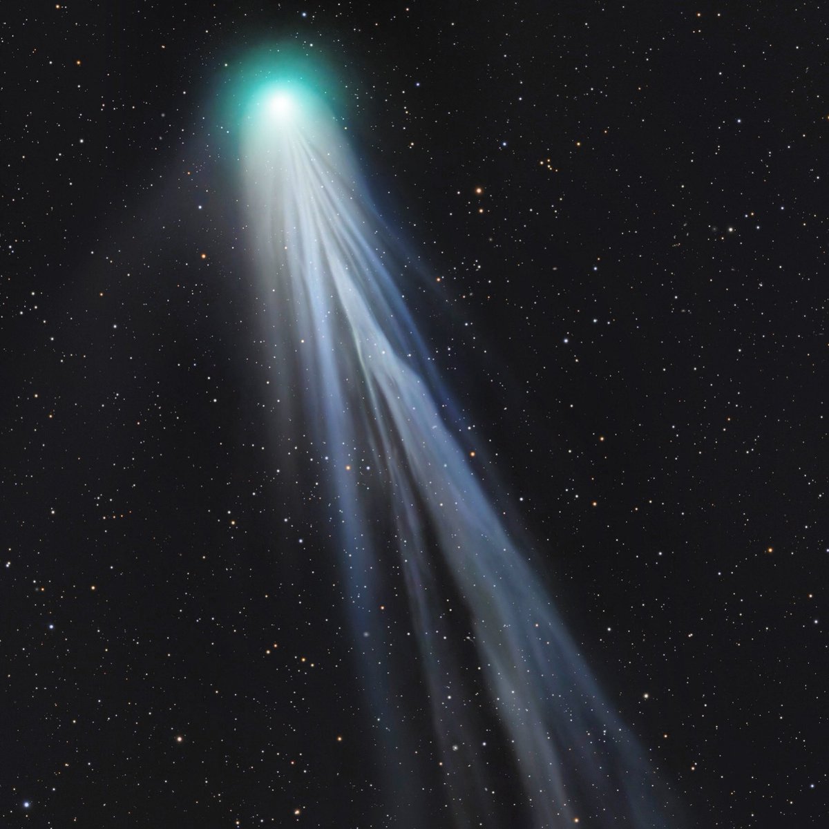 Kannad ar stered tweet media