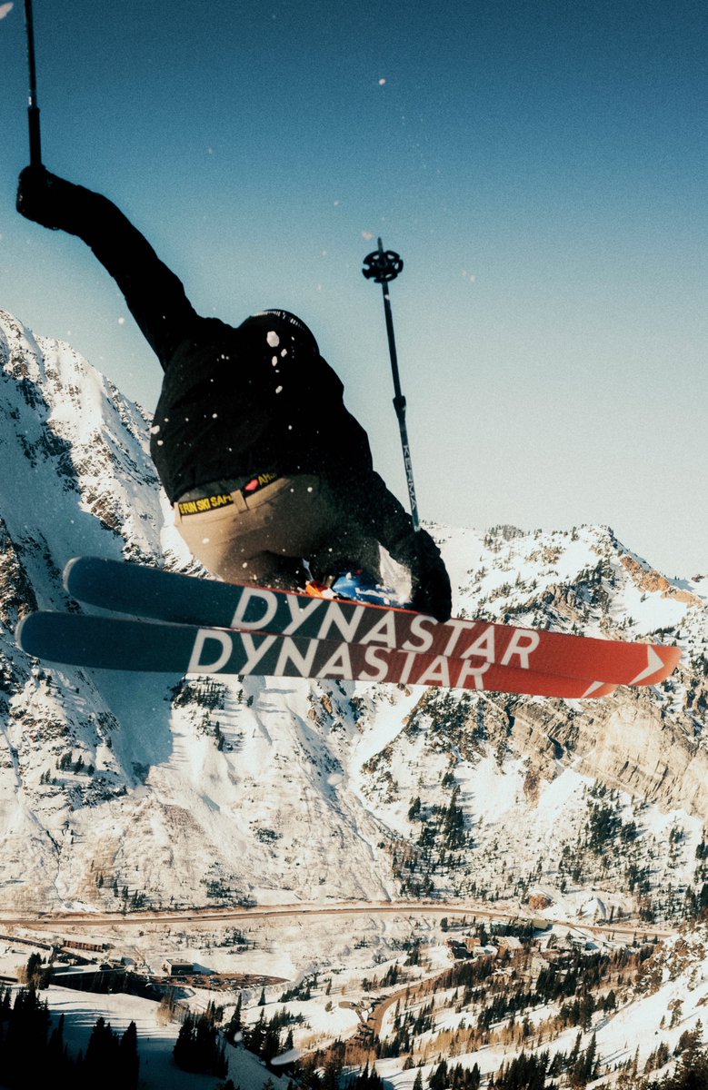 Snowbird tweet media