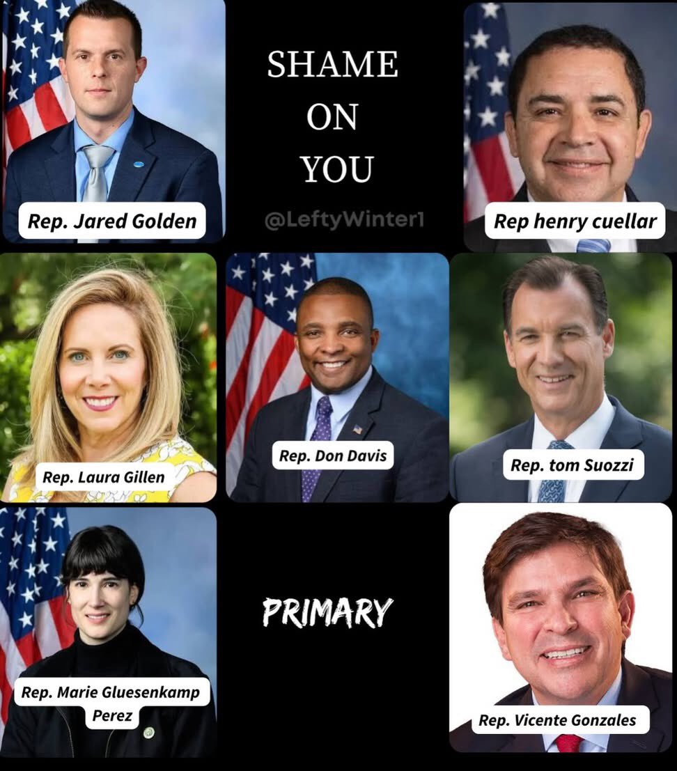 TheRickyDavila's tweet image. Here are the asshole scumbag fake Democrats who voted in favor of funding for the MAGA regime’s ICE-Gestapo killers. Fire them all.