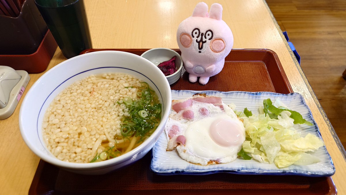 今日の朝活はなか卯
🐰うひょ～！はいからうどんと
ベーコンエッグのセット！
クーポン使って400円でオトク！
いいんですか！？

#なか卯 #カナヘイ
#ゆるっと写真同好会