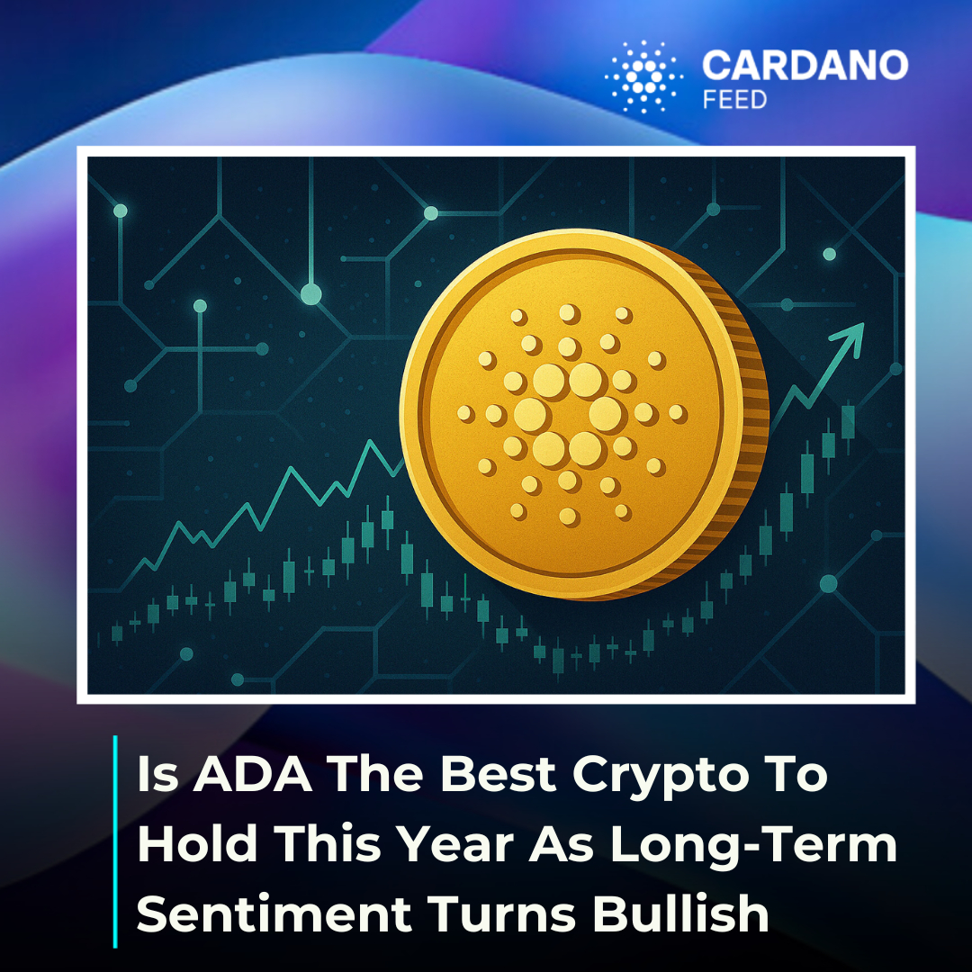 Is ADA The Best Crypto To Hold This Year As Long-Term Sentiment Turns  Bullish