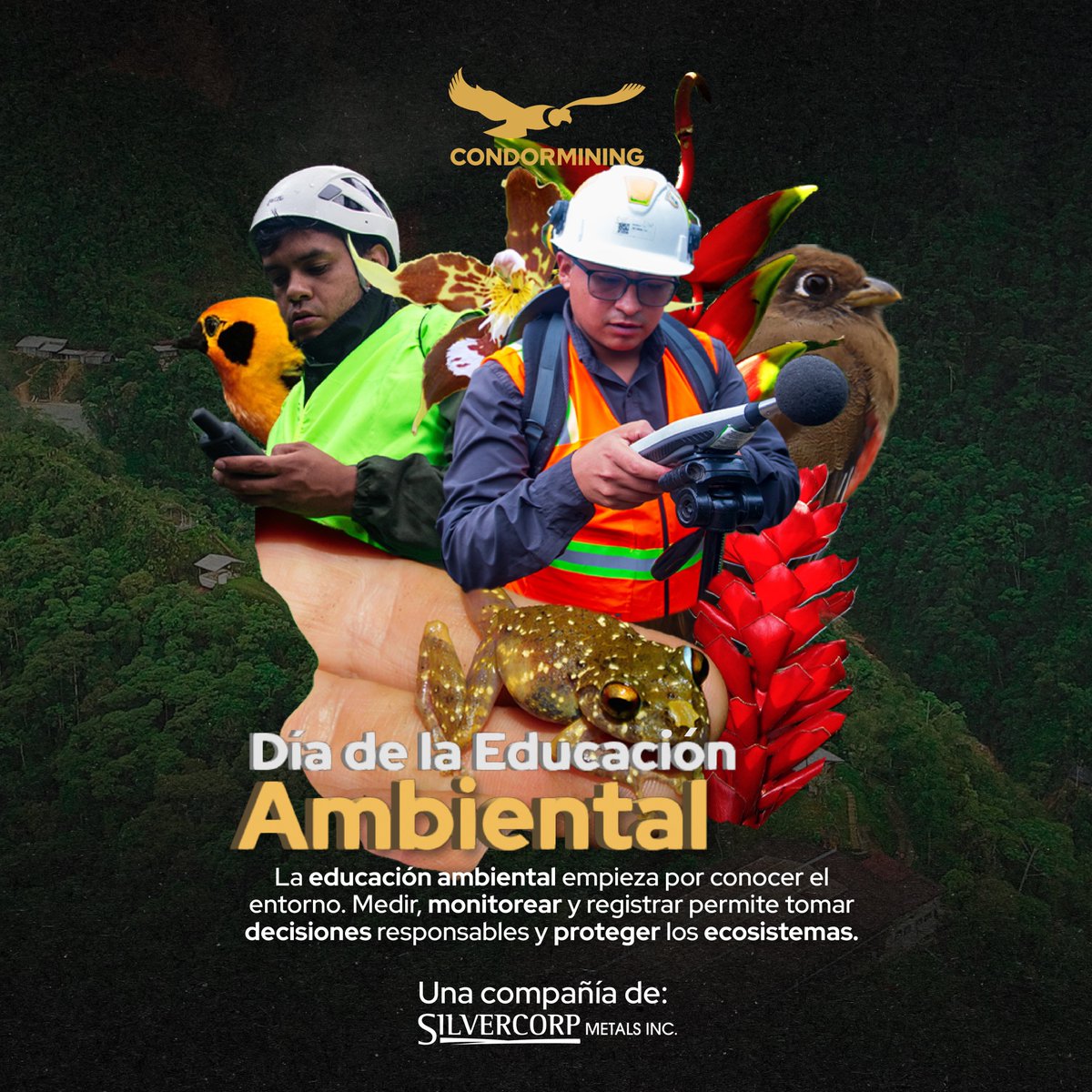 condormining's tweet image. La #EducaciónAmbiental se construye con información y trabajo técnico.

A través del monitoreo ambiental permanente, en #Condormining generamos datos para comprender, cuidar y gestionar responsablemente el entorno donde operamos.

#DíaDeLaEducaciónAmbiental
#GestiónResponsable