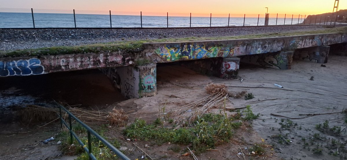 Aclariu qui ha de desembussar el pont del tren entre Calella i Sant Pol abans que passi alguna cosa, <a href="/rodalies/">Rodalies Catalunya</a>.