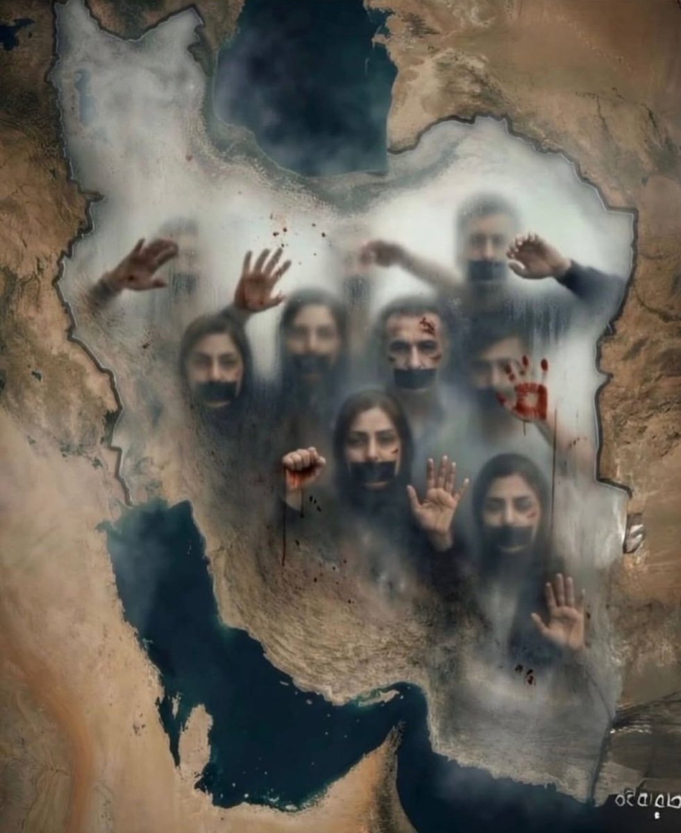 فری هاد tweet media