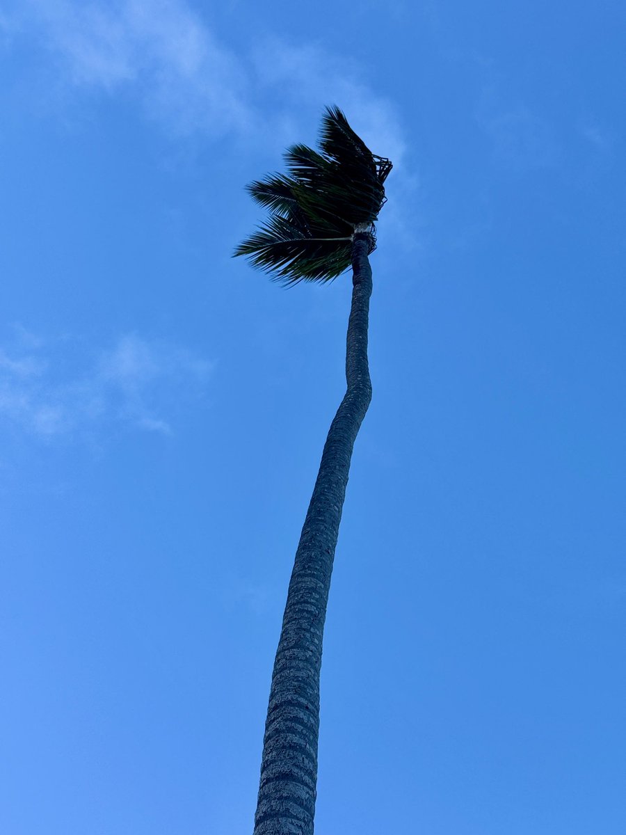 codeguin69's tweet image. 