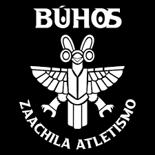 Alejandro S. Méndez ⚒️ tweet media