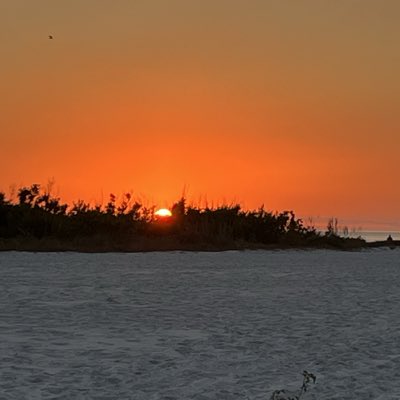 denisbuzz's tweet image. #NewProfilePic