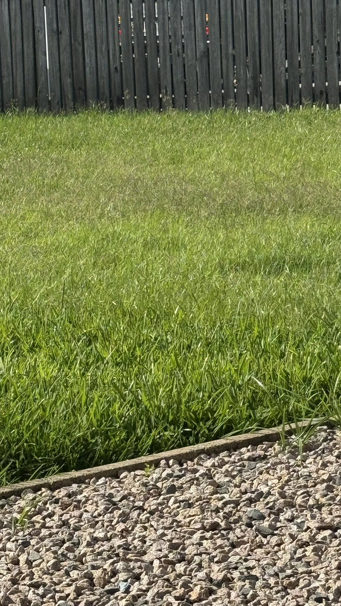 Kylie ♥️ 🥂👋🏻 tweet media