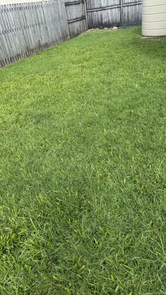 Kylie ♥️ 🥂👋🏻 tweet media