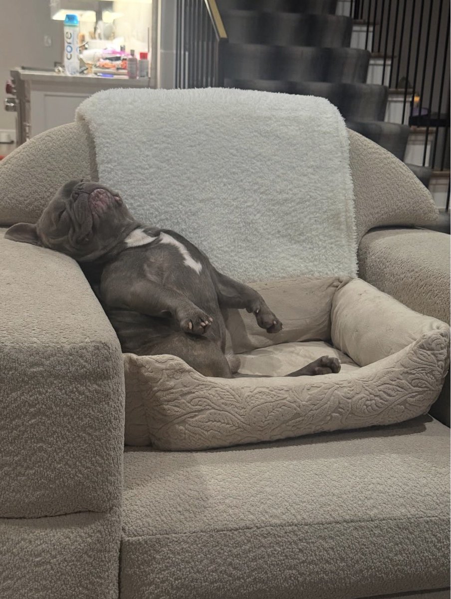 HussleandLo's tweet image. Maaaan 4oe get the hell up 😭😭😭