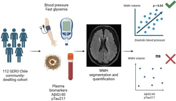 Andrea Slachevsky Chonchol tweet media