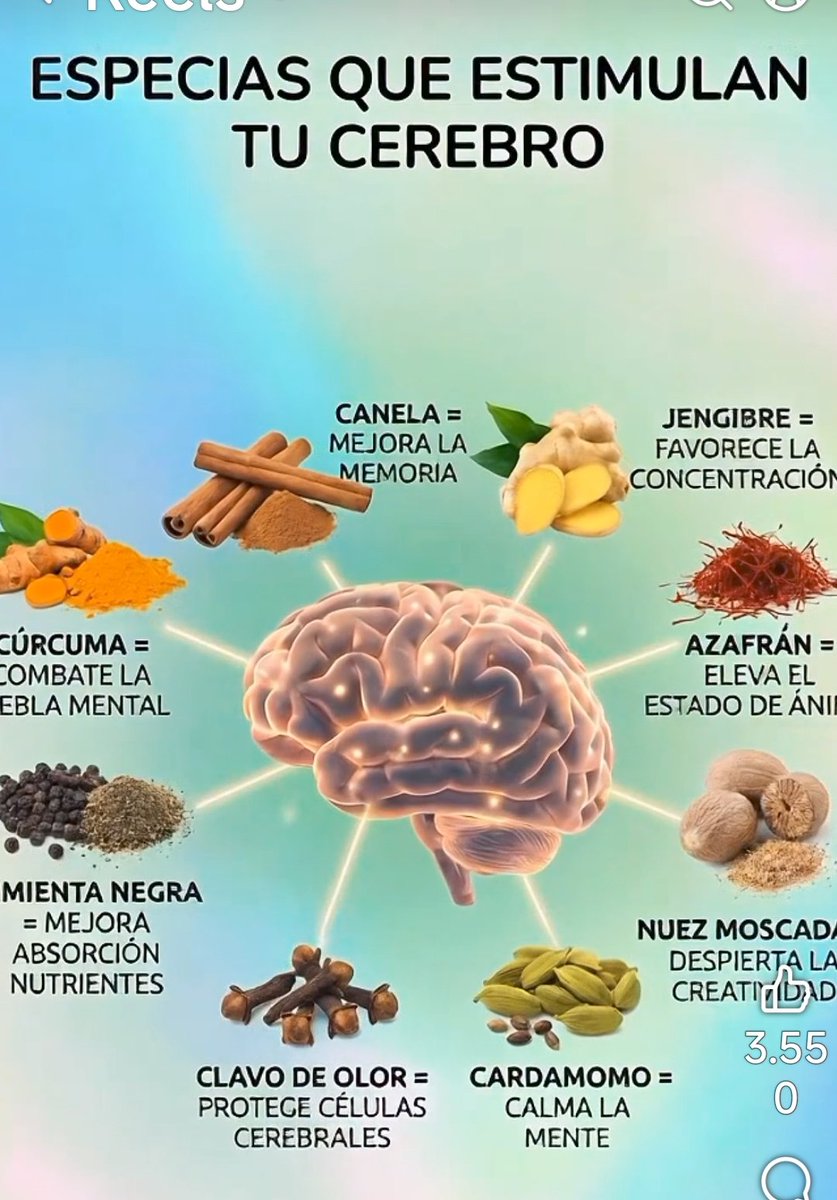 vibracosmos's tweet photo. Especias que activan tu Cerebro...👇👇👇
https://t.co/kBAYpj7yT9 https://t.co/3sxxMD7uUA