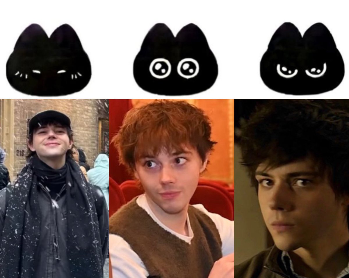 notjackwolfe's tweet image. 