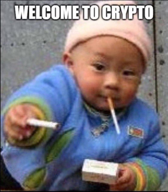 Idgaf what any bear says 

$Crypto looks so fucking good here

And is gonna make us rich asf in 2026

Bookmark this shit

Millionaires minting sooon …